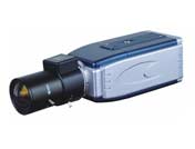 �W�j���嘌�͔z��C