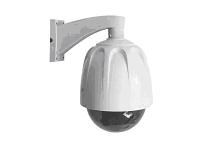 �҃����������_