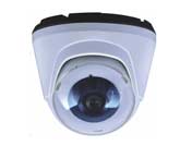 ��ɫ�������z��C