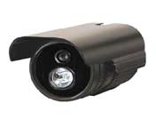 �t�☌�͔z��C