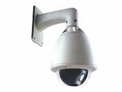 �����������͔z��C