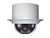 �҃�(n��i)�������͔z��C