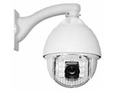 �t���������͔z��C