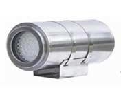 �����t���