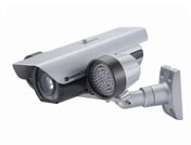 �t����D�ڷ���z��C