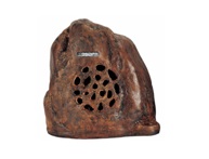 �ݵ�����