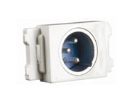 ���z����